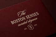 Old Money Vintage Logo Collection, a Branding & Logo Template by Vasya Kobelev (Thumbnail 10 of 17)