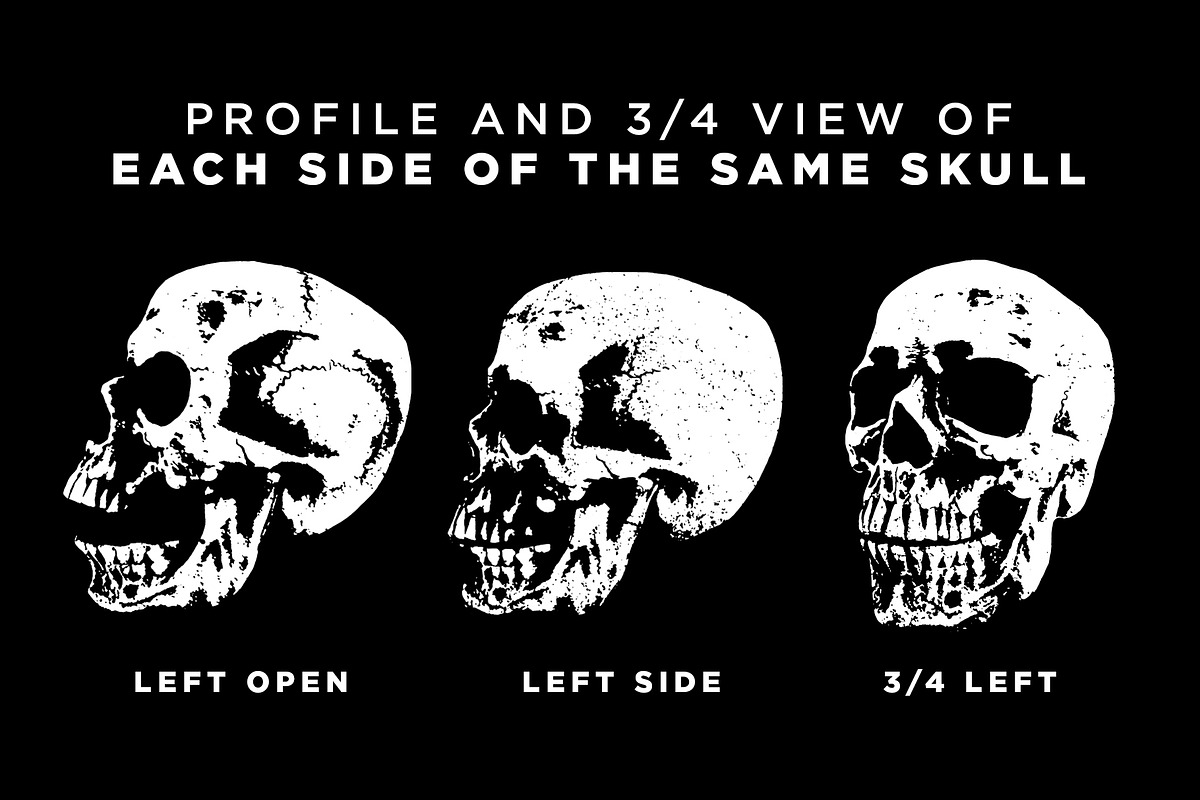 SKULLS, an Illustration by 1126artstudio (Photo 3 of 4)