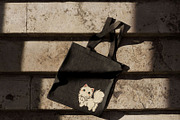 Kawaii Cats Clipart Cute Cat Element, an Animal Illustration by Blumensdiary (Thumbnail 6 of 7)