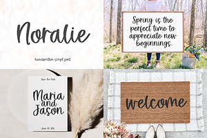 The Little Farmhouse Font BUNDLE