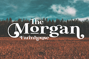 Platinor, a Serif Font by Larin Type Co. (Thumbnail 7 of 13)