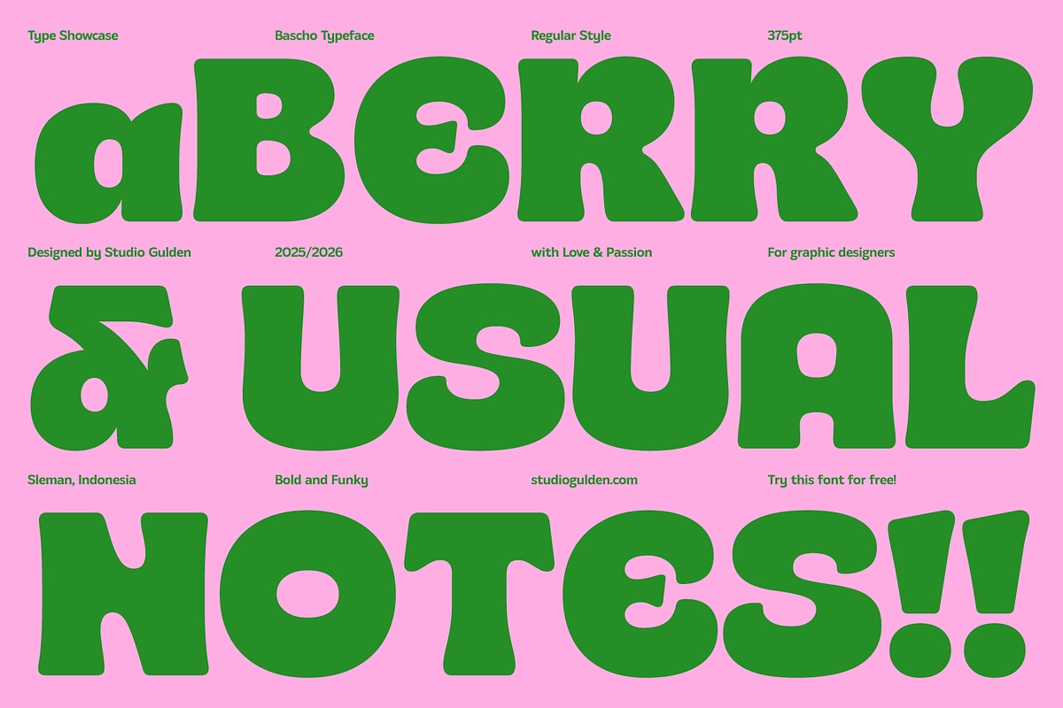 SG Bascho Bold, a Sans Serif Font by Studio Gulden (Photo 11 of 16)