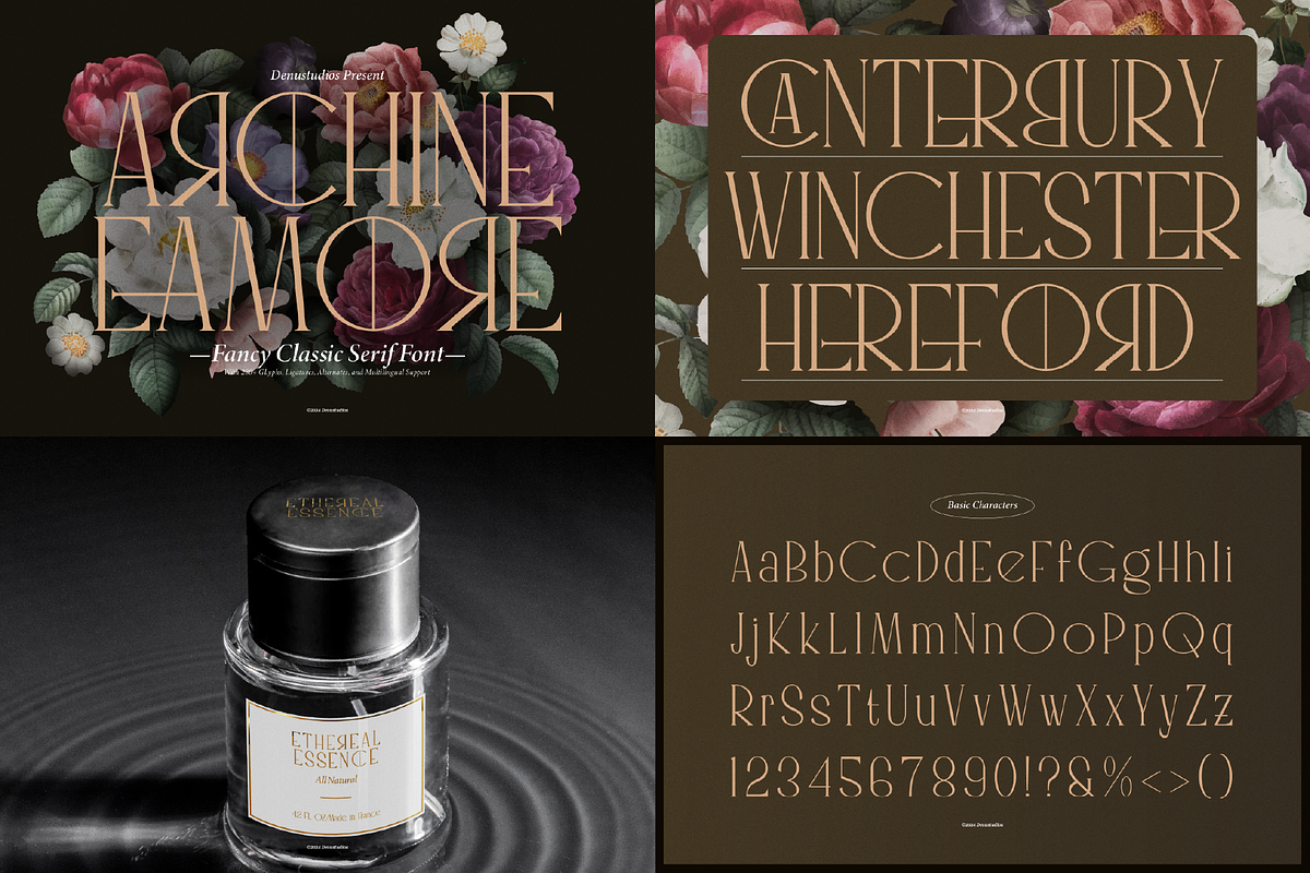 90% OFF! Modern Serif Font Bundle, a Serif Font by Denustudios (Photo 12 of 16)