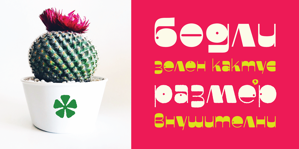 Faddy, a Sans Serif Font by Ani Dimitrova (Photo 10 of 19)