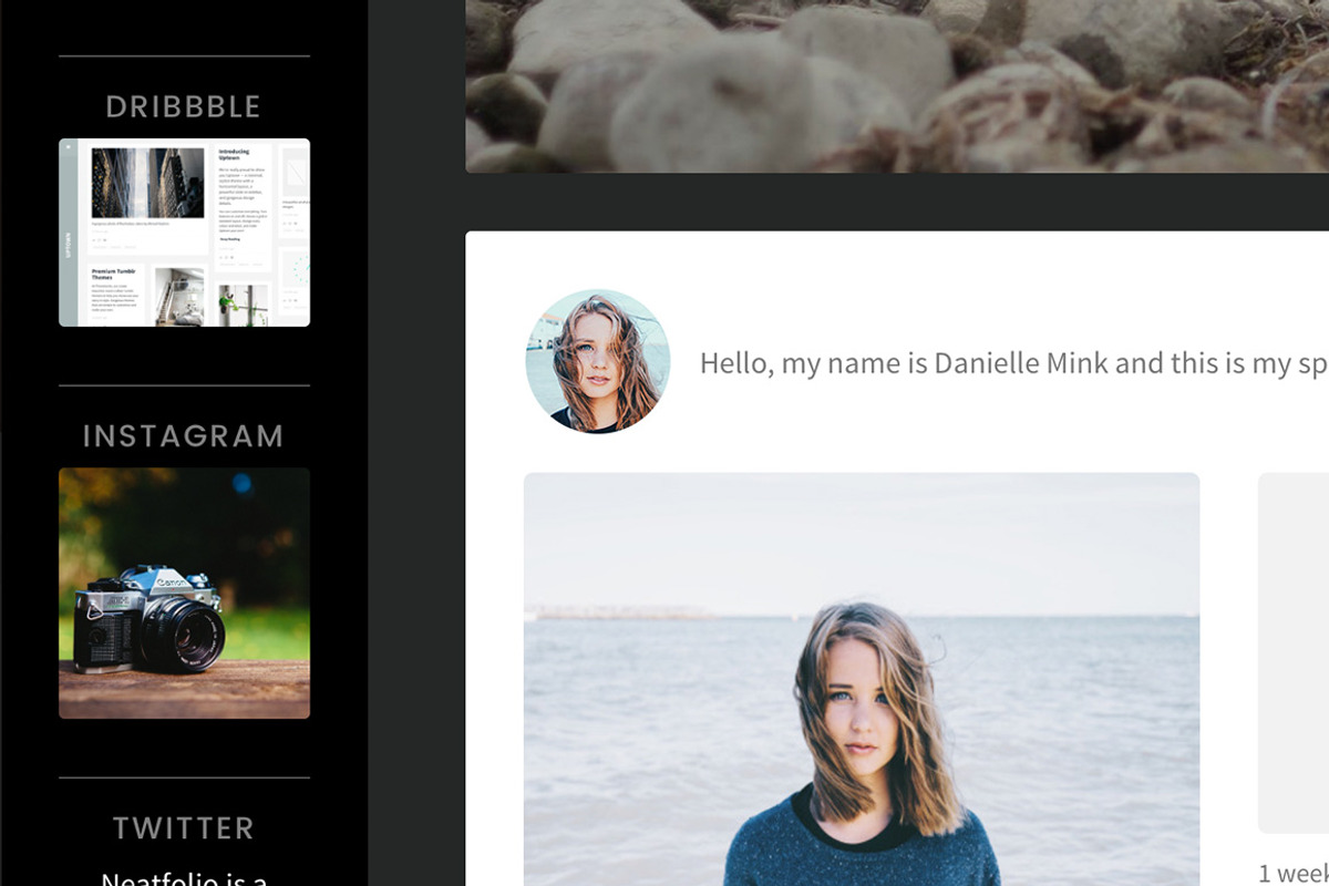 Pinpoint Tumblr Theme, a Websites & App Template by Themelantic (Photo 3 of 5)