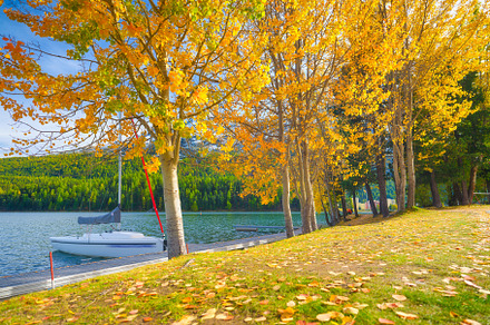 Autumn landscape on the lakeside, a Nature Photo by Landscape and travel