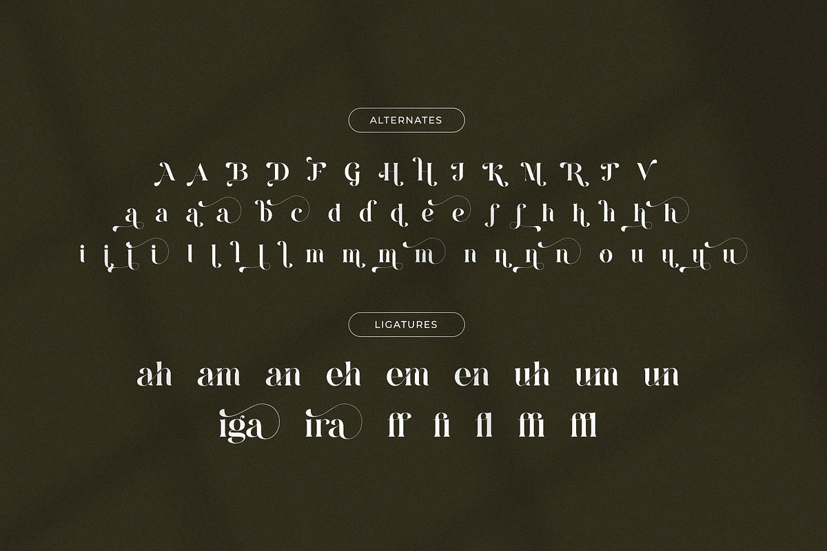 Runiga – Elegant Stylish Serif, a Serif Font by BrandSemut (Photo 10 of 10)