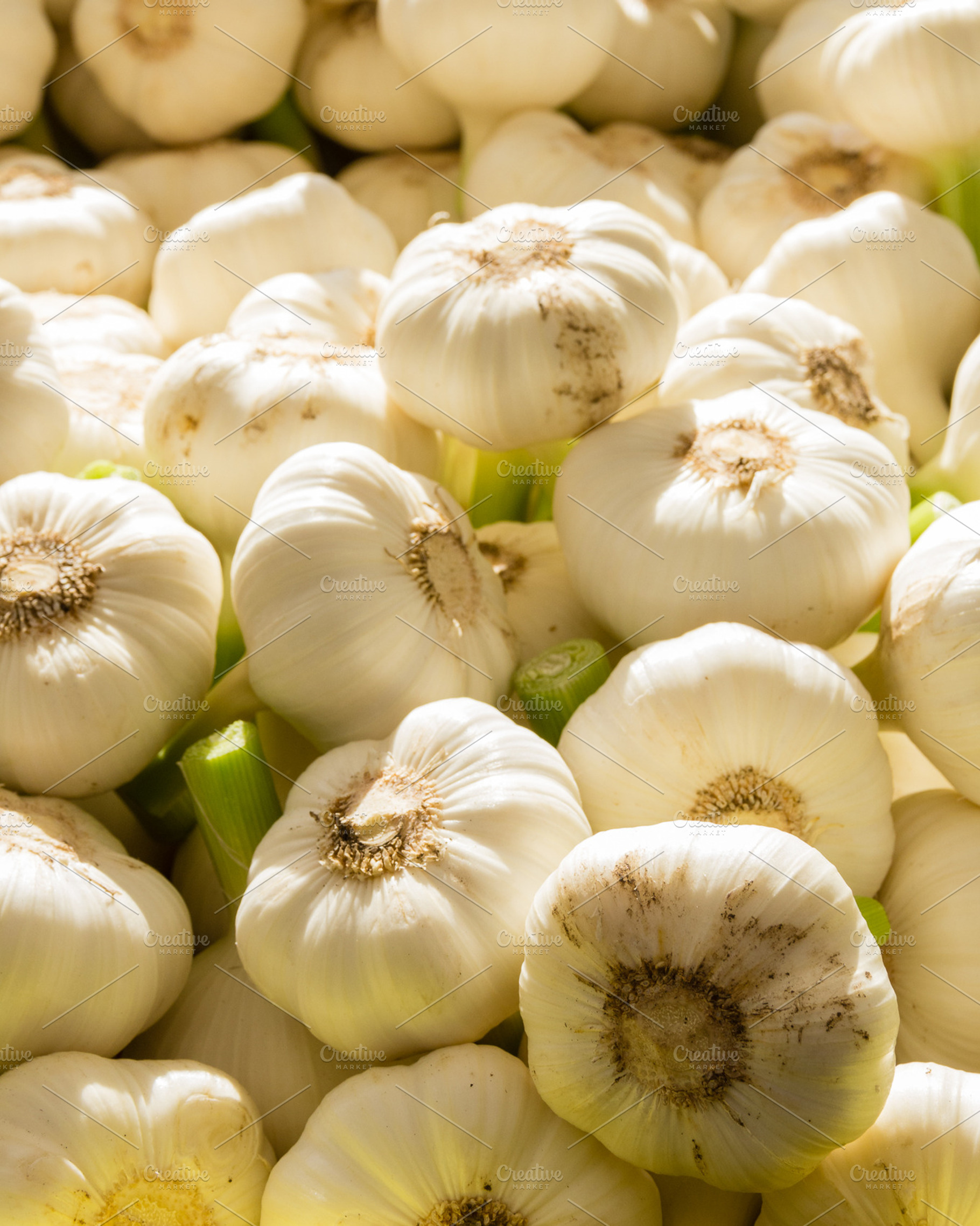 Fresh Garlic Goves At The Market Stock Photo Containing Food And Diet