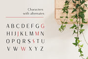 Nourishe, a Sans Serif Font by Arterfak Project (Thumbnail 3 of 10)