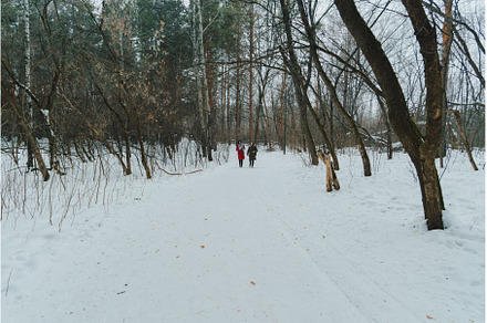 Friends enjoying a winter walk in a