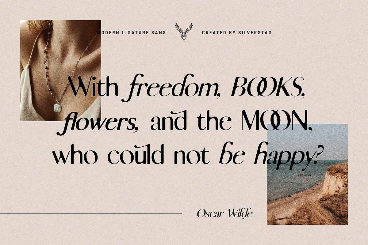 skylar - ligature sans font family, a Sans Serif Font by SilverStag Type Foundry (Photo 2 of 20)