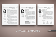 Professional Resume Cv Template, a Resume Template by The Creative Resume (Thumbnail 3 of 8)