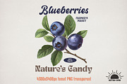 Vintage Fruits Sublimation Bundle, an Object Graphic by GlitterCraft (Thumbnail 5 of 21)