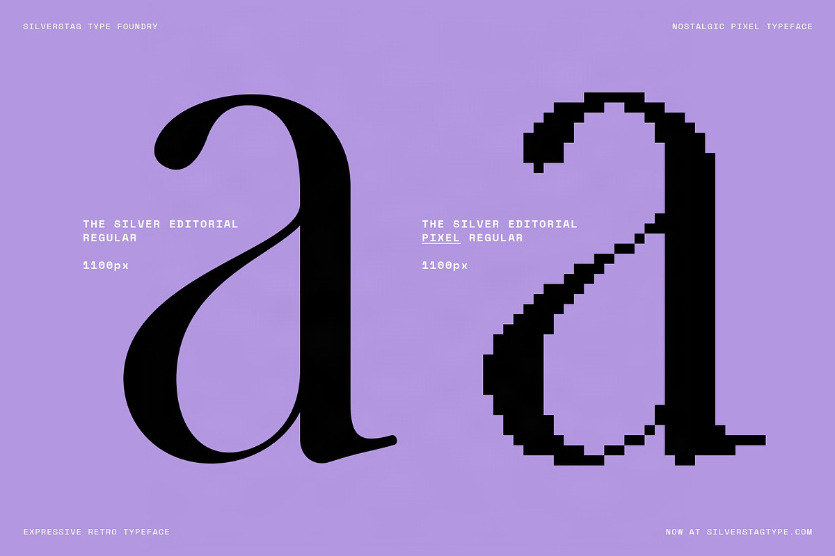 The Silver Editorial Pixel Version, a Serif Font by SilverStag Type Foundry (Photo 19 of 20)