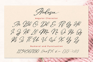 Andasia Script