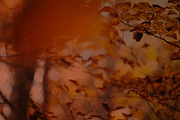 Oh Give Thanks, a Presentation Template by Team Alabaster (Thumbnail 4 of 4)