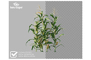 108 Farm Plants Photo Overlays, a Nature Photo by KenScape (Thumbnail 2 of 4)