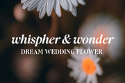 Recalling Nostalgic Font, a Serif Font by Mytha Studio (Thumbnail 3 of 14)