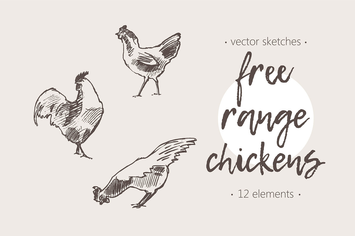 Set of a hand drawn chickens, an Animal Illustration by TheMountBirdStudio (Photo 1 of 5)
