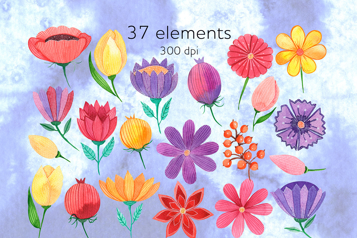 Colorful watercolor flowers clipart, a Decorative Illustration by AnastasiaWatercolor (Photo 2 of 7)
