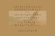 Regie - Elegant Display Serif Font, a Serif Font by BrandSemut (Thumbnail 8 of 8)