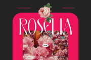Hello Palisade Family, a Serif Font by Sans & Sons (Thumbnail 5 of 10)