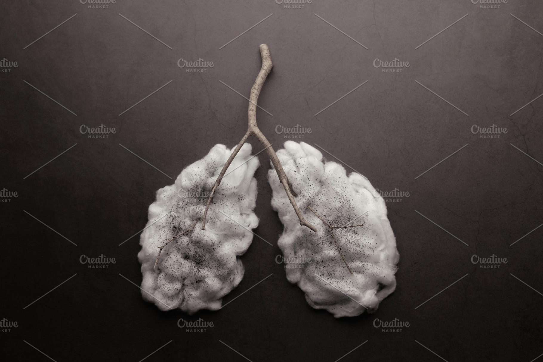 Cotton lungs covered with dirty dark dust on black background, l, a Photo by salmon.black
