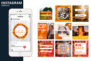 Autumn Instagram Animated Template, a Social Media Template by Brandspark Mini (Thumbnail 1 of 2)