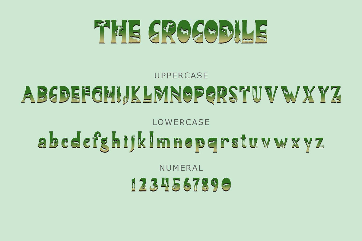The Crocodile, a Handwritten Font by Yoga Letter