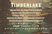 Timberlake - A Rustic & Rugged Font, a Sans Serif Font by Komet & Flicker (Thumbnail 15 of 15)