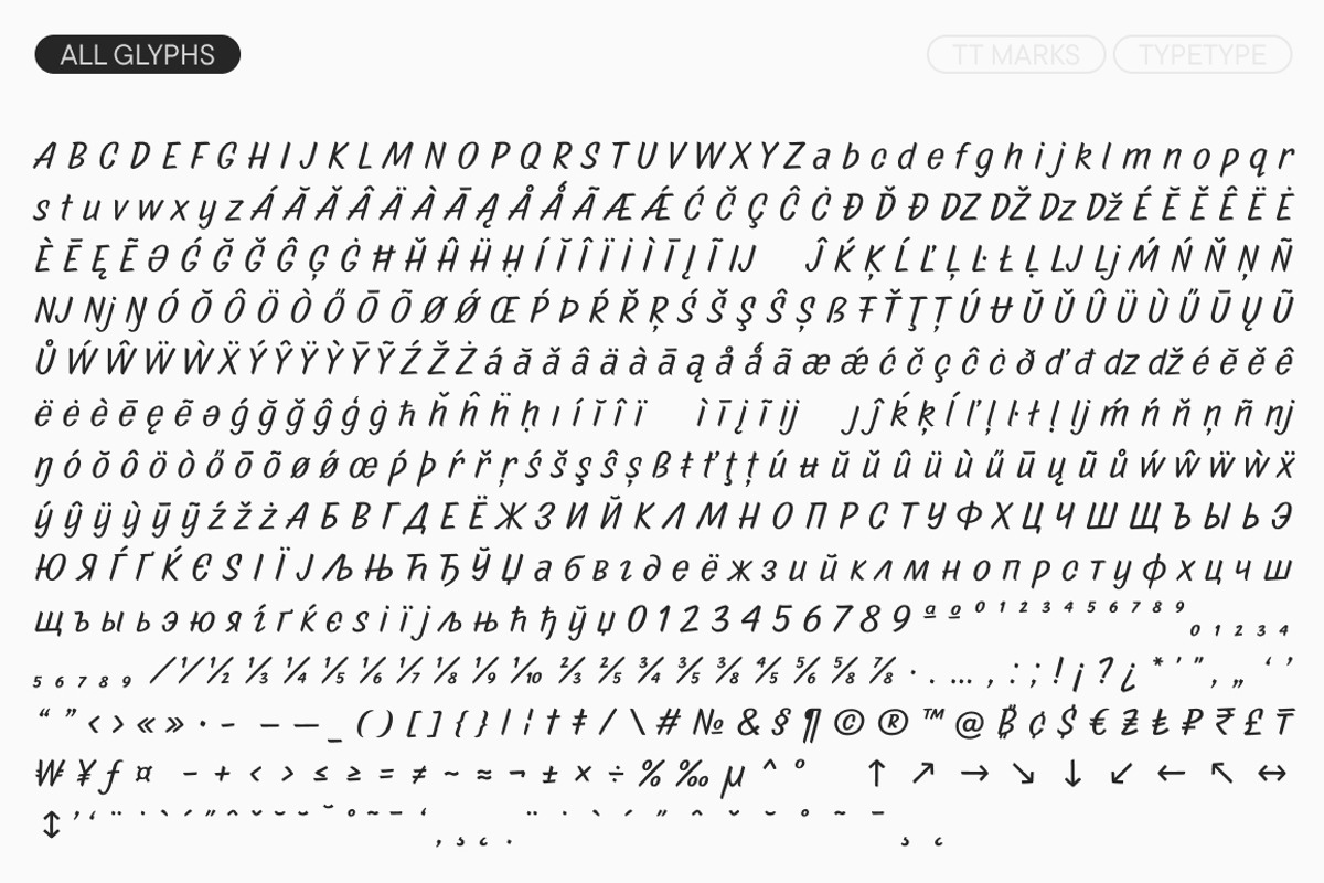 TT Marks, a Script Font by TypeType (Photo 8 of 12)
