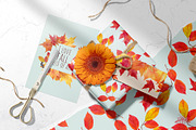 Golden | Watercolor Autumn set, a Decorative Illustration by Tanya Vollar (Thumbnail 2 of 14)