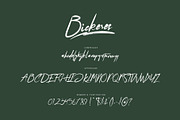 Bickeres Brush Font, a Script Font by Maxim apperian (Thumbnail 7 of 8)