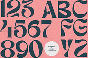 Zelqa, a Serif Font by zaaintype (Thumbnail 6 of 8)