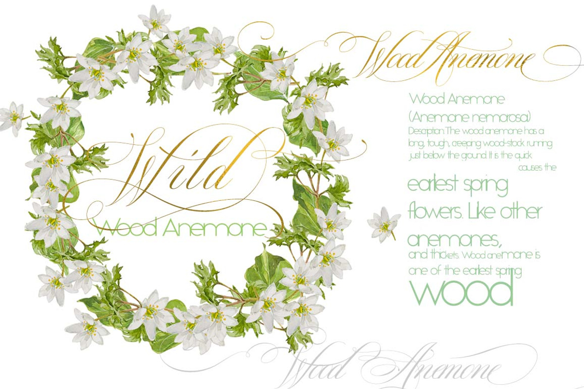 White Bouquets&Wreaths in watercolor, an Illustration by watercolorwild.graphics (Photo 3 of 14)