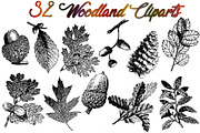 Sale 50% OFF 32 Woodland vectors, an Object Graphic by Alexandra Fulger (Thumbnail 4 of 5)
