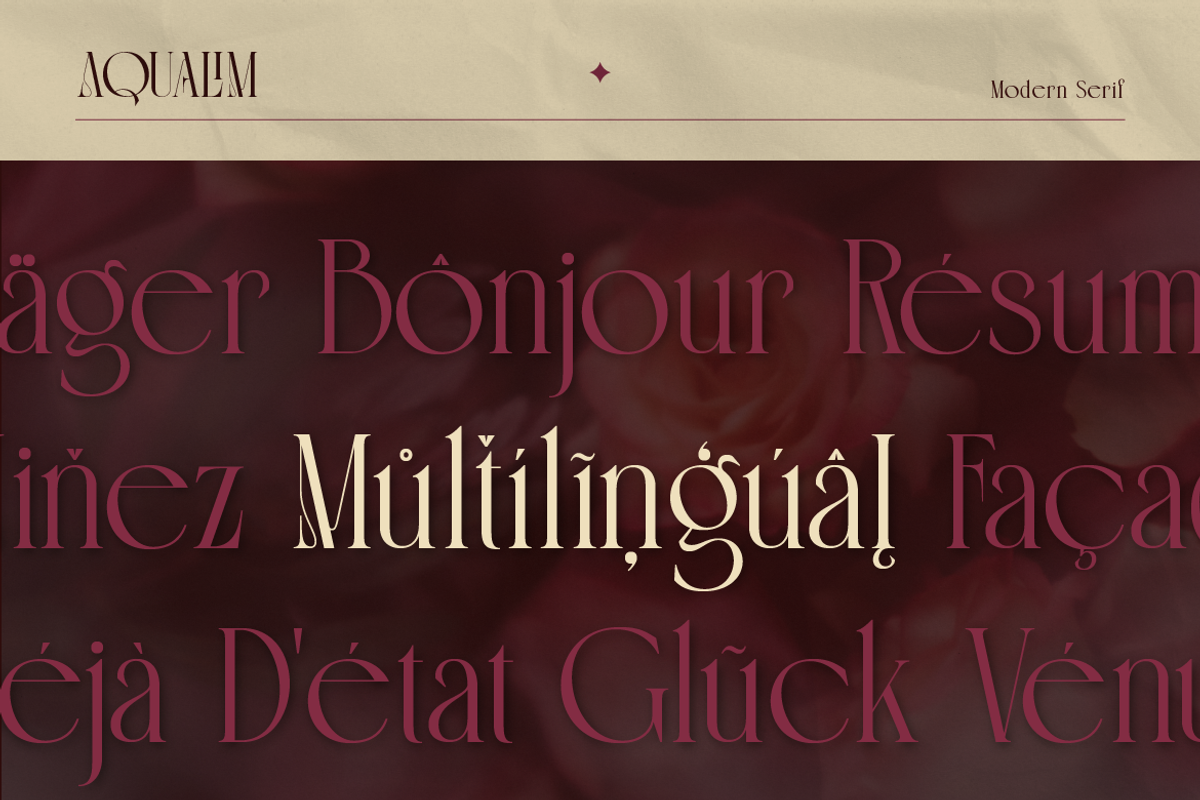 Aqualim Signature - Duo Font, a Serif Font by Burntilldead (Photo 12 of 12)