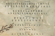 Violety Dreams, a Serif Font by Nathatype (Thumbnail 7 of 10)