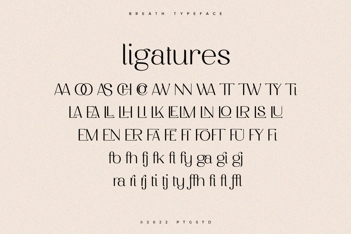 Breath | Modern Ligature Serif, a Serif Font by Pentagonistudio (Photo 11 of 11)