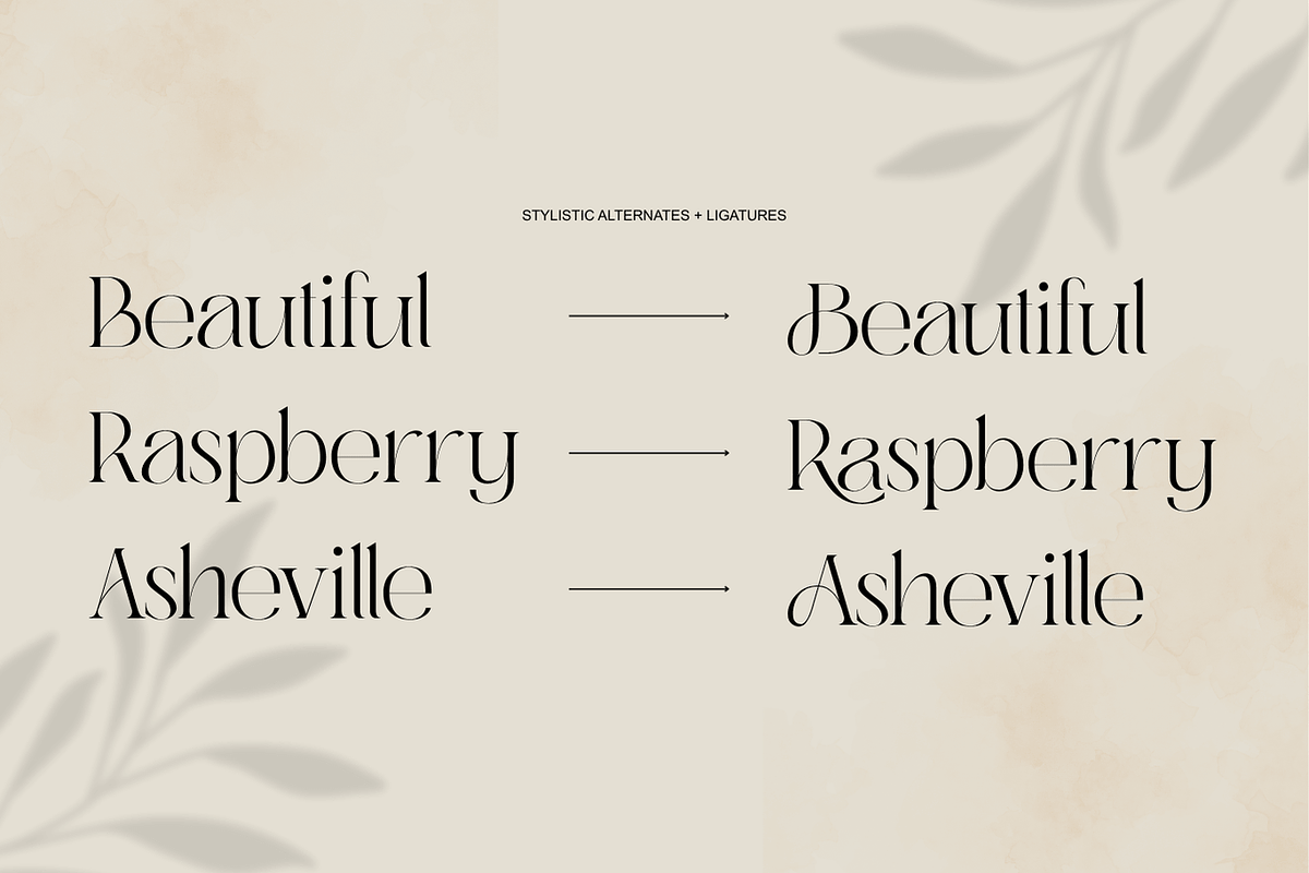 Abask - Modern Ligatures Font, a Serif Font by Nirmana Visual (Photo 9 of 12)