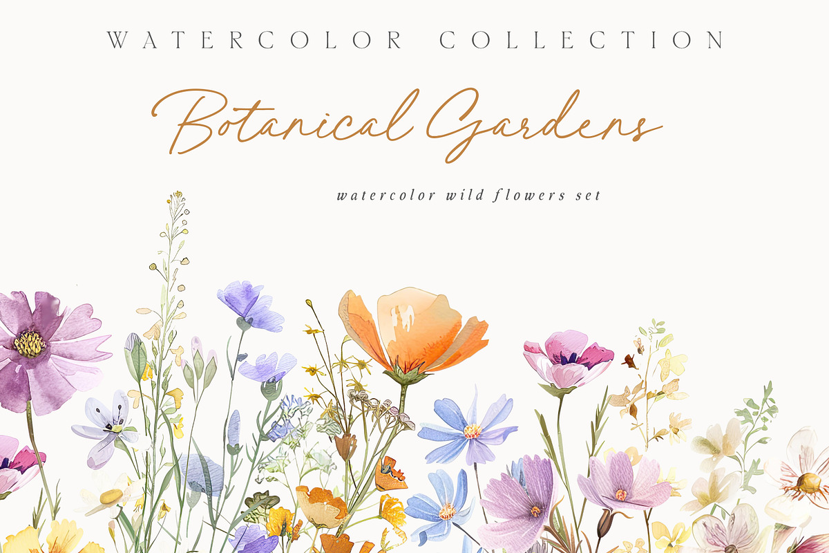New! Wild Flowers Edition, a Seasonal Illustration by Isabelle Salem (Photo 13 of 155)