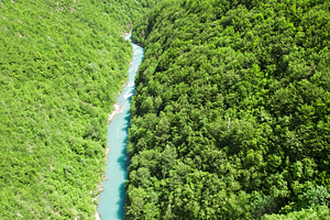 Tara River, a Photo by saiko3p