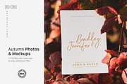 Autumn Photos & Mockups, a Print Template by Artcoast Studio (Thumbnail 1 of 6)