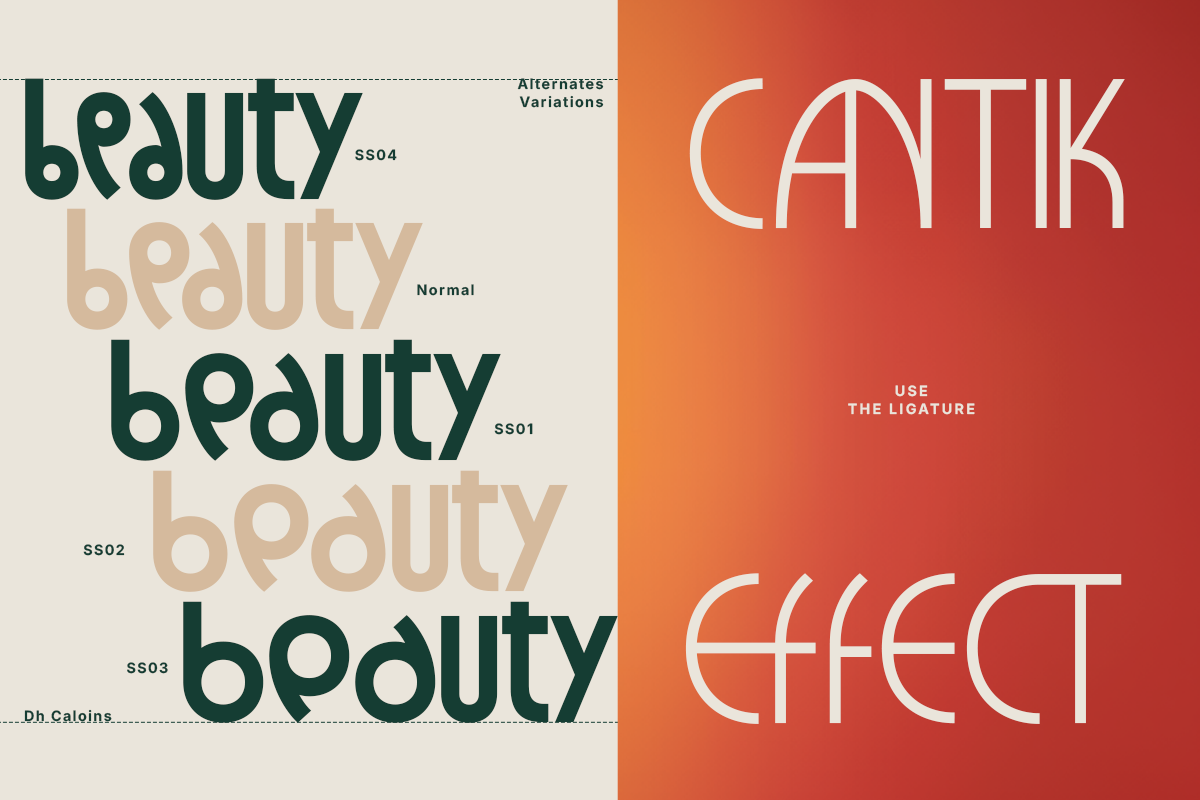 Dh Caloins - 8 Elegant Family, a Sans Serif Font by Dharmas Foundry (Photo 5 of 15)