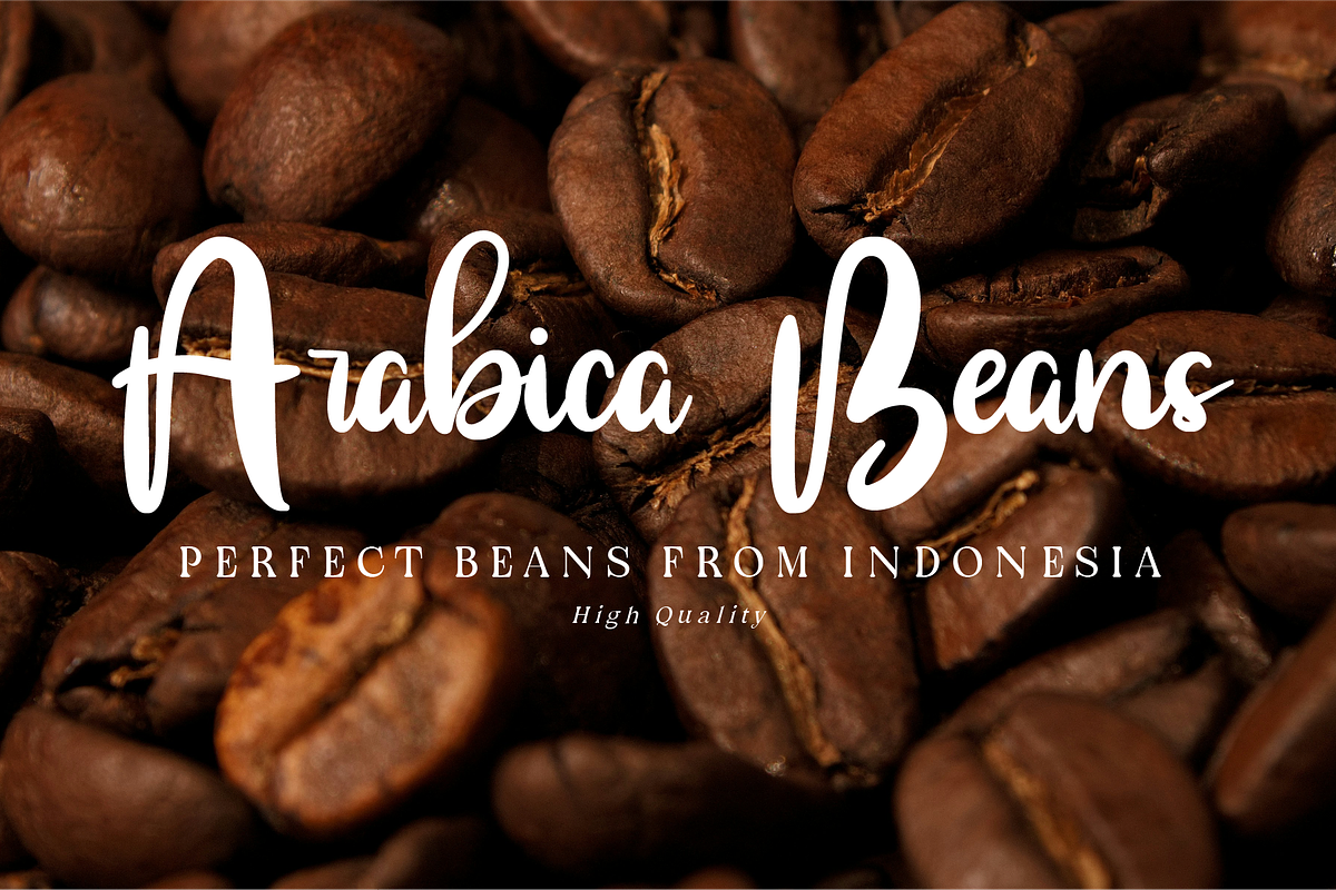 Myrellis Script - Bold Script, a Script Font by Indotype Foundry (Photo 2 of 10)