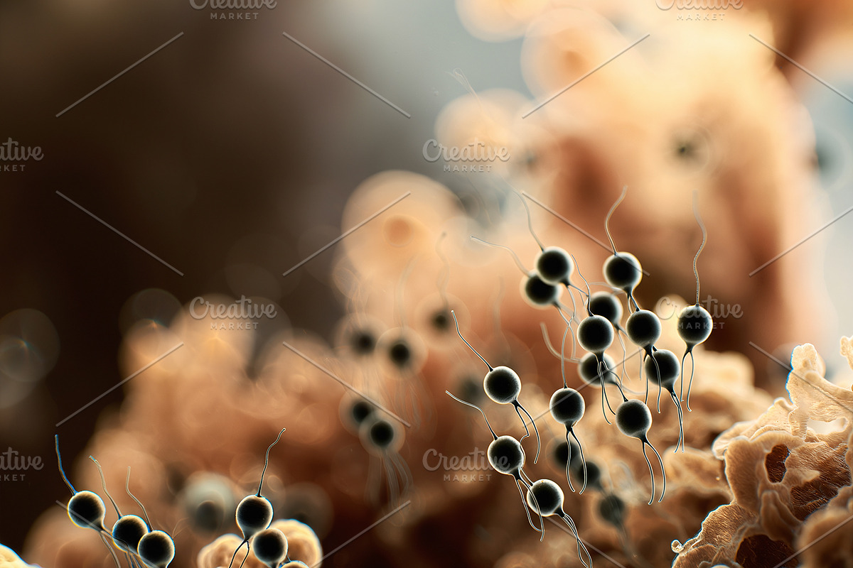 52 Fictional Microscopic Organisms, an Abstract Photo by h.utomo (Photo 47 of 52)