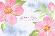 Wild Rose collection, an Illustration by oKOLOstyle (Thumbnail 1 of 8)