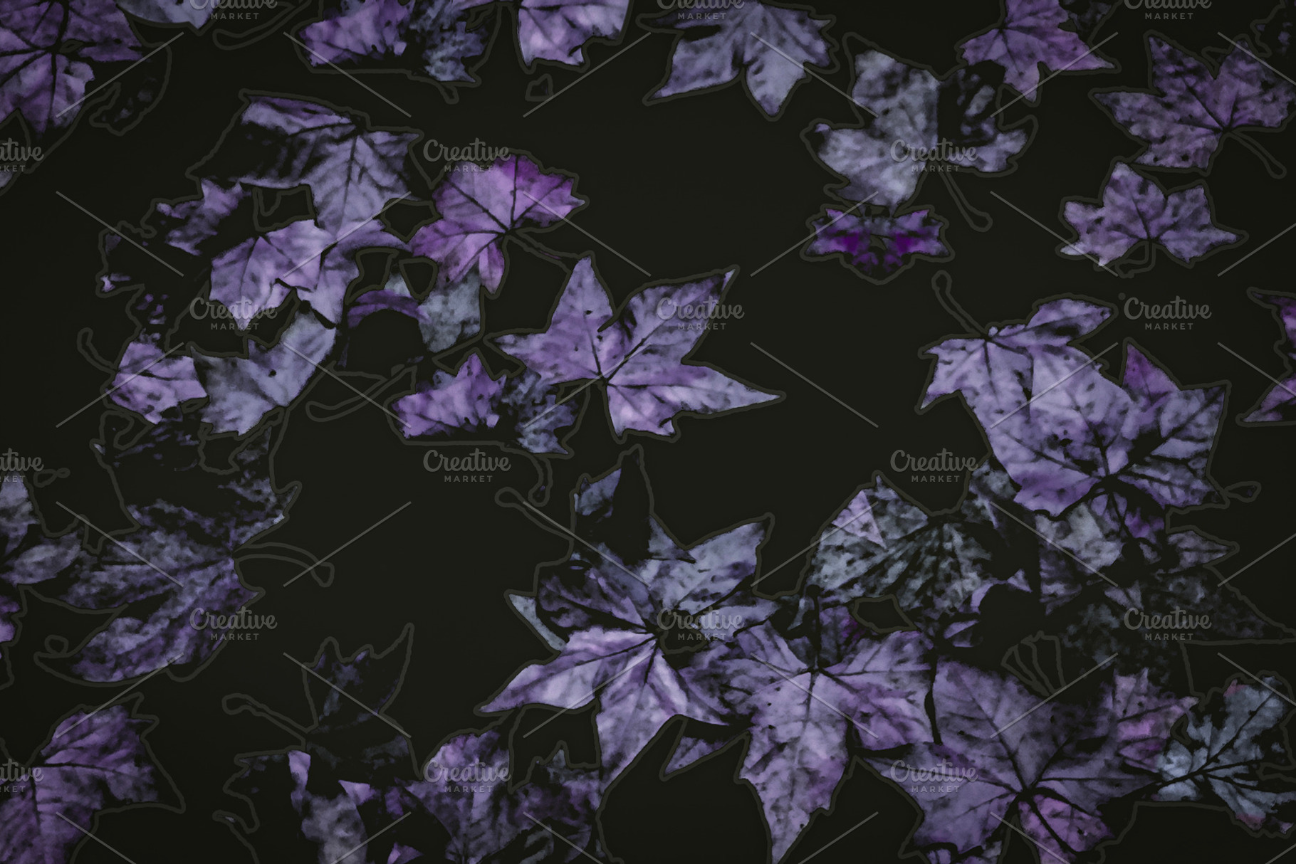 Dry leaves in violet tones over dark background, a Background Photo by DanFLCreativo