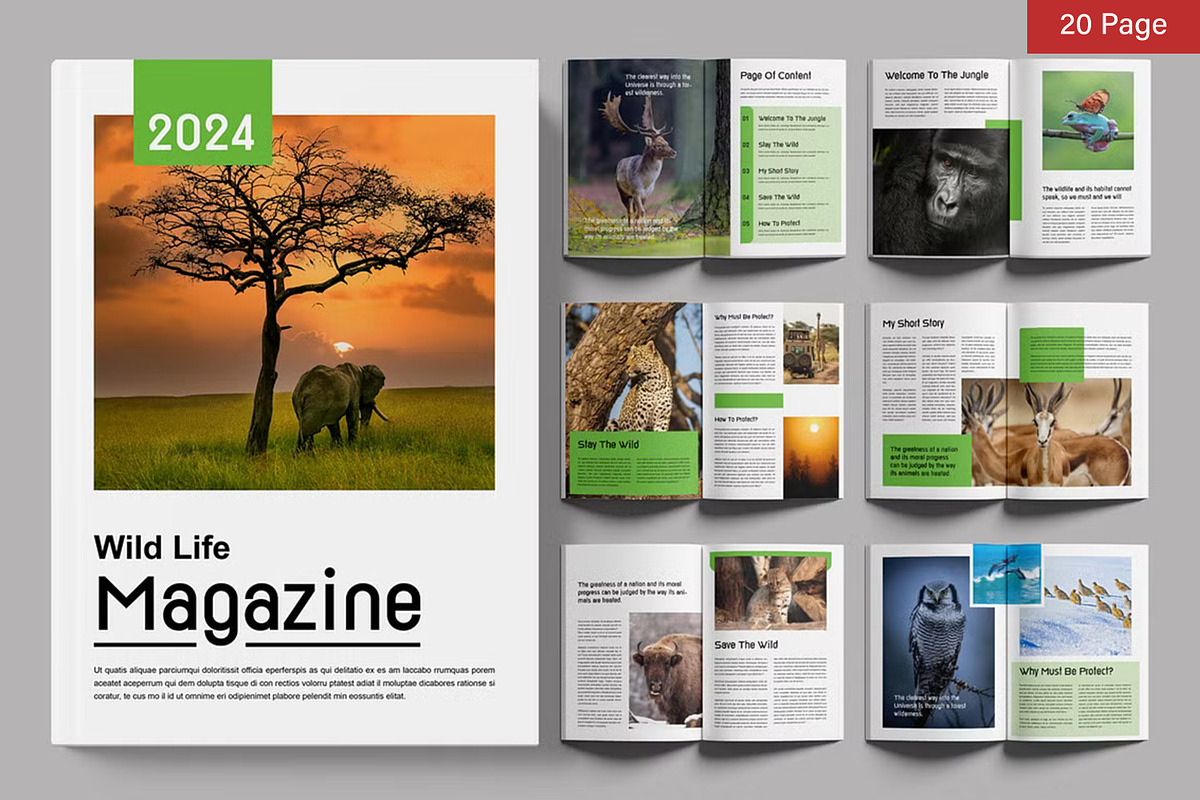 Magazine Bundle, a Magazine Template by ContestDesign (Photo 17 of 84)