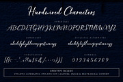 Hardwired Script - UPDATE, a Script Font by FadeLine Studio (Thumbnail 12 of 13)